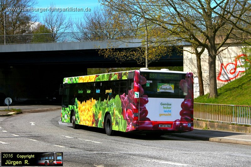 02) 8255-63,SBG,JN.JPG